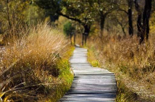 wooden-track-1932611__340