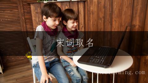 宋词取名：百里挑一的男孩名字精选