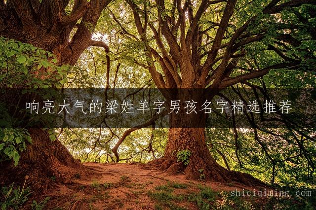 响亮大气的梁姓单字男孩名字精选推荐 - 吉祥美好又好听有涵养