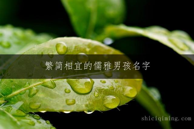繁简相宜的儒雅男孩名字