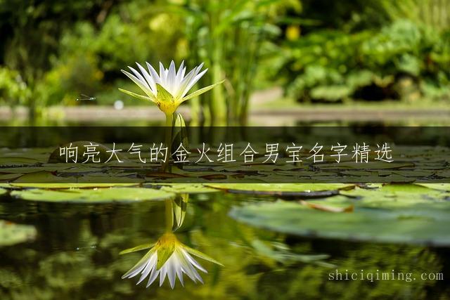 响亮大气的金火组合男宝名字精选
