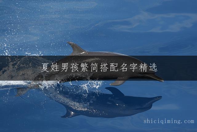 夏姓男孩繁简搭配名字精选