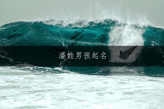 潘姓男孩起名：繁简搭配名字精选