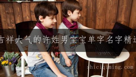 吉祥大气的许姓男宝宝单字名字精选
