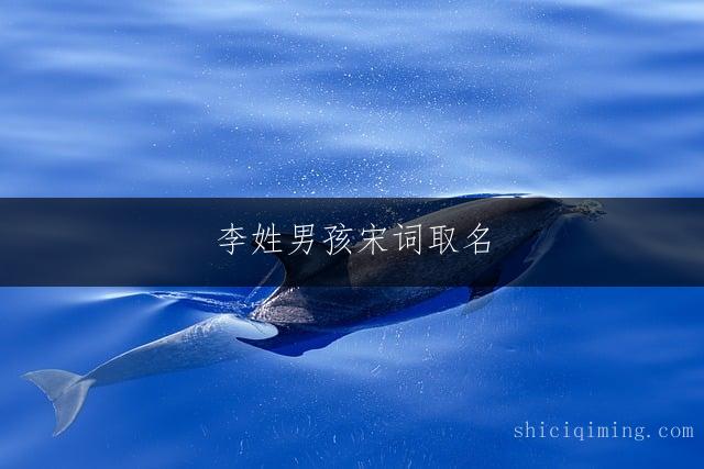 李姓男孩宋词取名：寓意富贵安康的名字精选