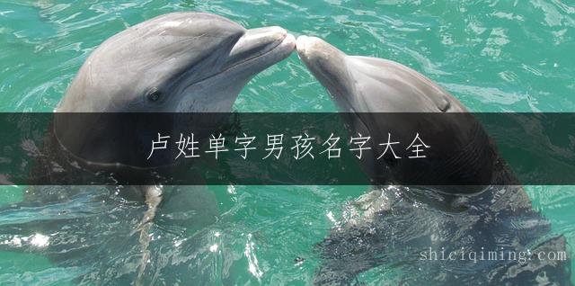 卢姓单字男孩名字大全：吉祥如意、大气有涵养的宝宝取名推荐