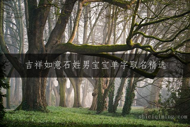 吉祥如意石姓男宝宝单字取名精选 - 大气响亮福运满满男孩名字推荐