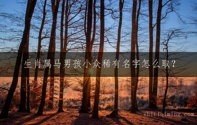 生肖属马男孩小众稀有名字怎么取？