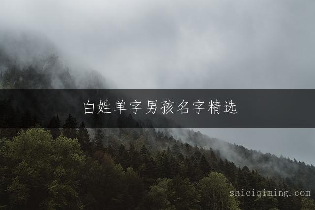 白姓单字男孩名字精选：吉祥好寓意的简洁大气之选