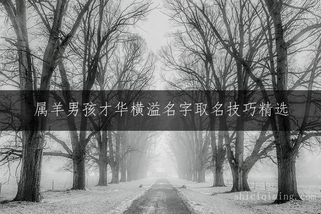 属羊男孩才华横溢名字取名技巧精选