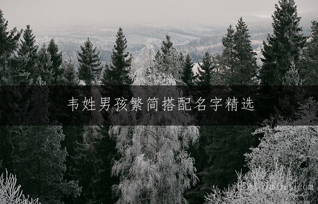 韦姓男孩繁简搭配名字精选