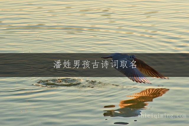 潘姓男孩古诗词取名：聪明大气名字精选