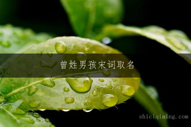 曾姓男孩宋词取名：大气响亮名字精选