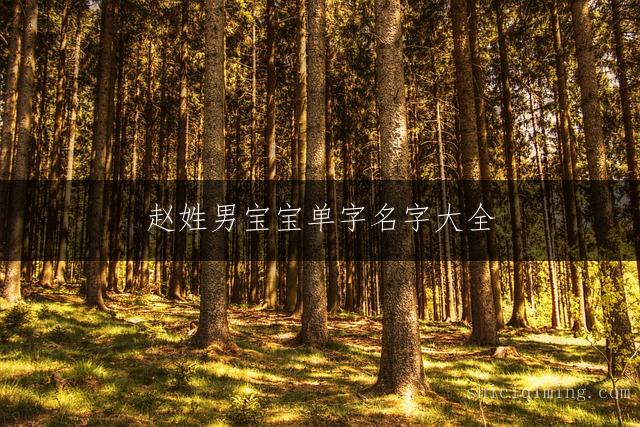 赵姓男宝宝单字名字大全：吉祥大气有内涵的好名精选