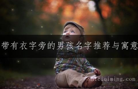 精选带有衣字旁的男孩名字推荐与寓意解析
