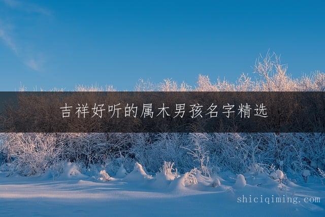 吉祥好听的属木男孩名字精选：可爱宝宝取名推荐