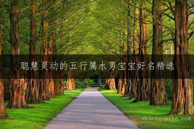 聪慧灵动的五行属水男宝宝好名精选:吉祥如意乳名大全