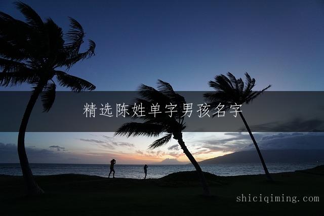 精选陈姓单字男孩名字,响亮悦耳又寓意非凡