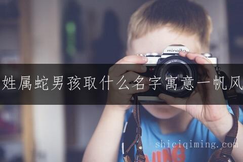 胡姓属蛇男孩取什么名字寓意一帆风顺