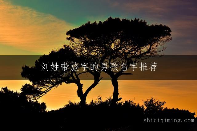 刘姓带旅字的男孩名字推荐