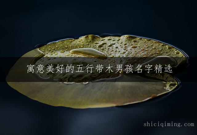 寓意美好的五行带木男孩名字精选