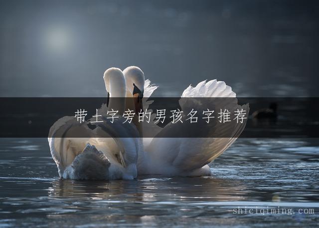 带土字旁的男孩名字推荐