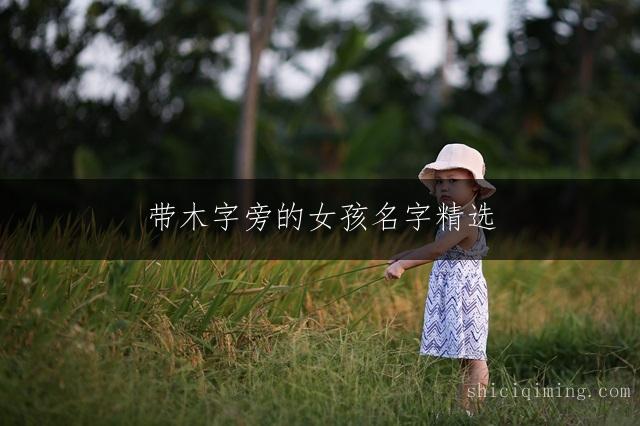 带木字旁的女孩名字精选