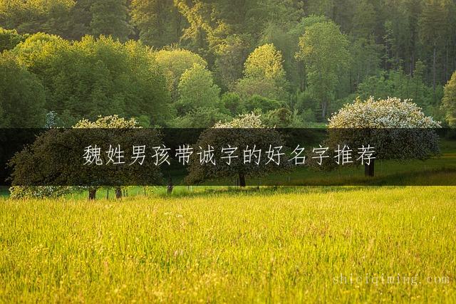 魏姓男孩带诚字的好名字推荐