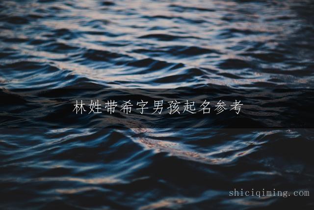 林姓带希字男孩起名参考