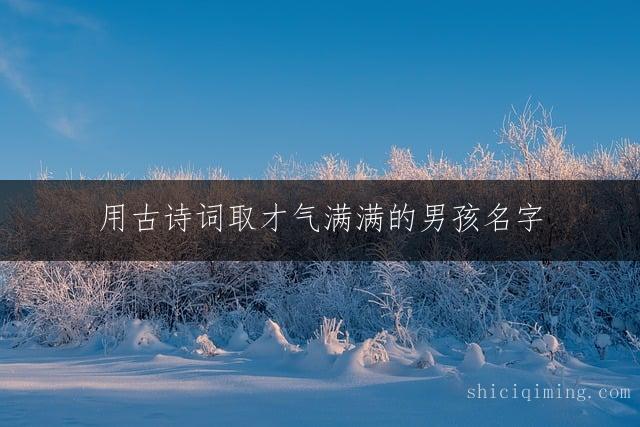 用古诗词取才气满满的男孩名字
